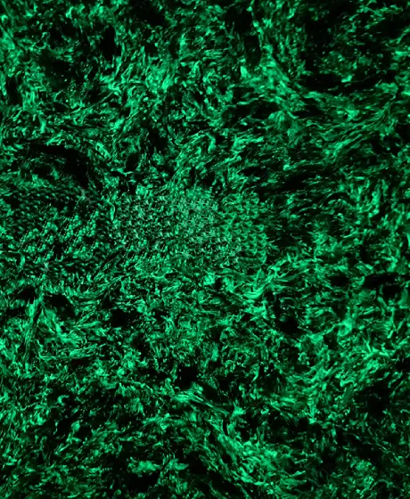 Fluorescent Carbon Fiber Plate